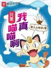 《我真只是喵喵啊》小说封面