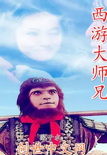 《西游大师兄》小说封面