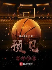 《预见篮球轨迹》小说封面