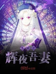 《木叶之辉夜吾妻》小说封面