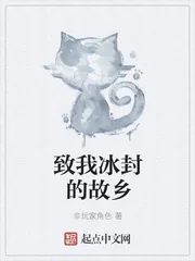 《致我冰封的故乡》小说封面
