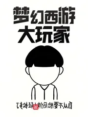 《梦幻西游大玩家》小说封面