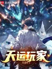 《天运玩家》小说封面