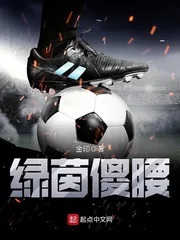 《绿茵傻腰》小说封面