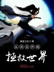 《从风云开始拯救世界》小说封面