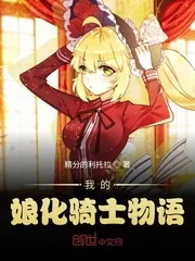 《我的娘化骑士物语》小说封面