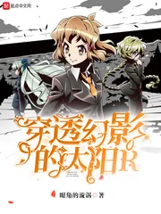 《穿透幻影的太阳R》小说封面