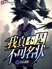 《我真不是不可名状》小说封面