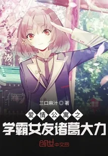 《爱情公寓之学霸女友诸葛大力》小说封面