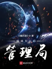 《地球BUG管理局》小说封面