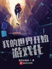《我的世界开始游戏化》小说封面