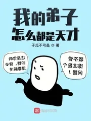 《我的弟子怎么都是天才》小说封面