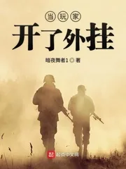 《当玩家开了外挂》小说封面