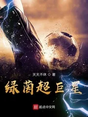 《绿茵超巨星》小说封面