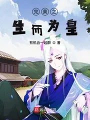 《在完美生而为皇》小说封面