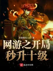 《网游之开局秒升十级》小说封面