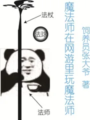 《魔法师在网游里玩魔法师》小说封面