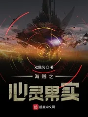 《海贼之心灵果实》小说封面