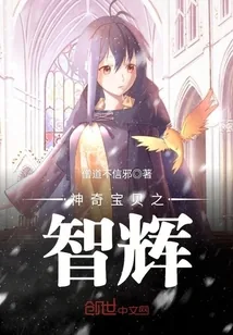 《神奇宝贝之智辉》小说封面