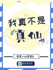 《我真不是真仙啊》小说封面