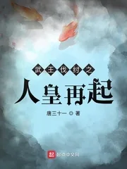 《武王伐纣之人皇再起》小说封面