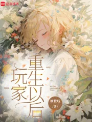 《玩家重生以后》小说封面