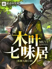 《木叶七味居》小说封面