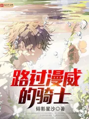 《路过漫威的骑士》小说封面