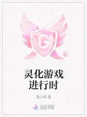 《灵化游戏进行时》小说封面