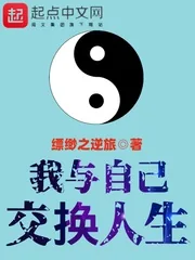 《我与自己交换人生》小说封面