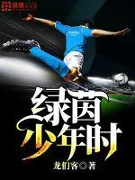 《绿茵少年时》小说封面