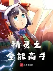 《精灵之全能高手》小说封面
