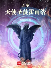 《斗罗：天使圣徒霍雨浩》小说封面