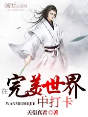 《在完美世界中打卡》小说封面