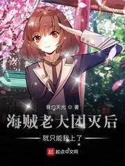 《海贼老大团灭后就只能我上了》小说封面