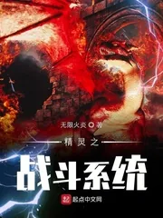 《精灵之战斗系统》小说封面