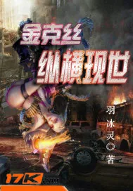 《金克丝纵横现世》小说封面