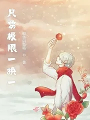 《只要极限一换一》小说封面