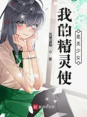 《我的精灵使是美少女》小说封面
