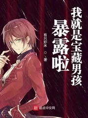 《暴露啦我就是宝藏男孩》小说封面