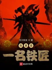 《我真是一名铁匠》小说封面