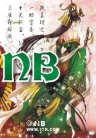 《NB》小说封面