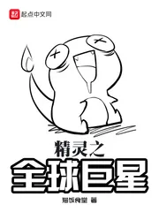 《精灵之全球巨星》小说封面