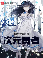 《次元勇者》小说封面
