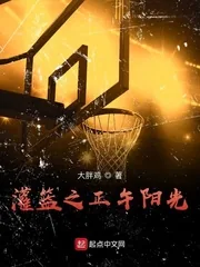 《灌篮之正午阳光》小说封面