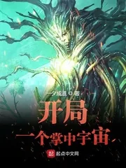 《开局一个掌中宇宙》小说封面