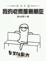 《DNF之我的老婆是赛丽亚》小说封面