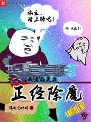 《我真的是在正经除魔啊》小说封面