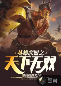 《英雄联盟之天下无双》小说封面