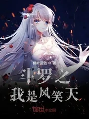 《斗罗之我是风笑天》小说封面